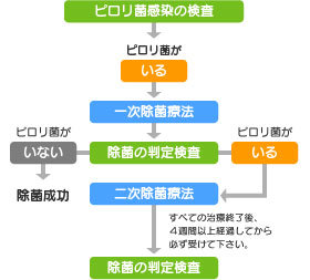 ピロリ菌の除菌と検査スケジュール