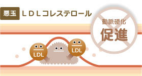 悪玉LDLコレステロール