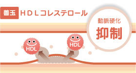 善玉LDLコレステロール