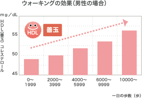 グラフ ウォーキング効果(男性の場合)