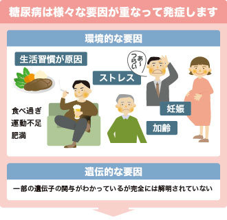 糖尿病は様々な要因が重なって発症します