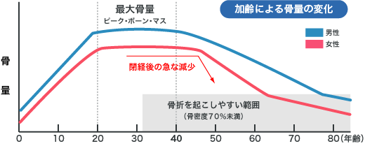 加齢による骨量の変化