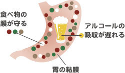 食べ物が胃の粘膜を守ります