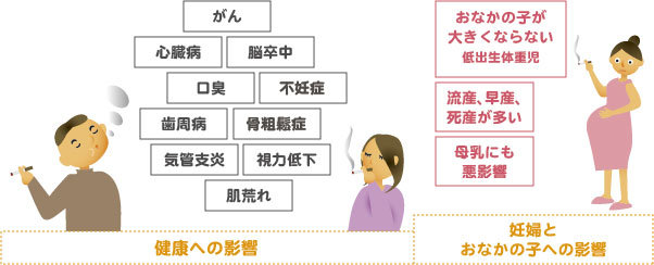 健康への影響・妊婦とおなかの子への影響