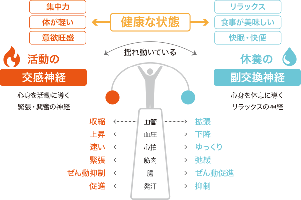 自律神経が健康な状態