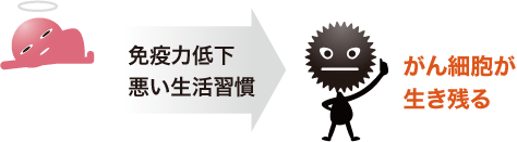 毎日、免疫細胞が5,000個のがん細胞が退治