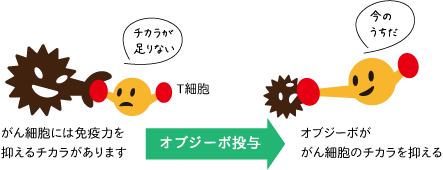 オプジーボががん細胞の力を抑えて免疫細胞が攻撃