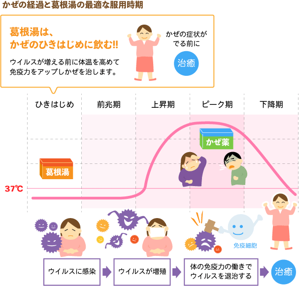 グラフ　かぜのひきはじめに葛根湯