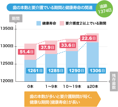 歯の本数と要介護でいる期間と健康寿命の関連のグラフ