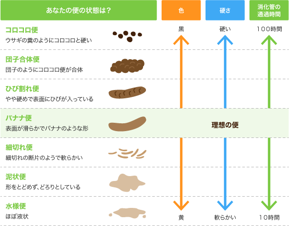 歯周病と腸内環境