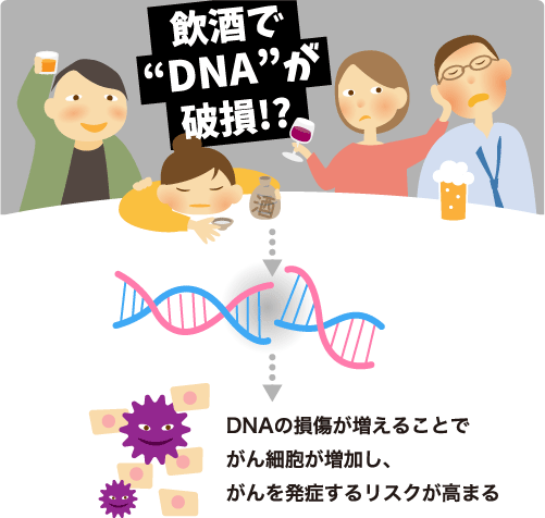 飲酒でDNAが破損!?