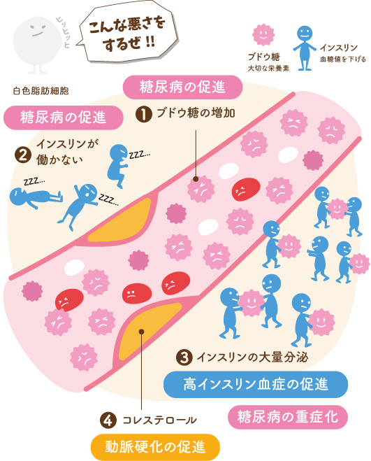 白色脂肪細胞の怖い働き