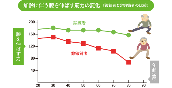 加齢に伴う膝を伸ばす筋力の変化のグラフ