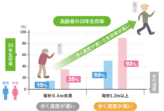 高齢者の10年生存率のグラフ