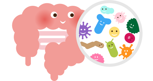 腸内細菌の多様性
