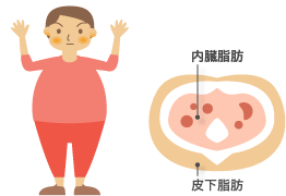 内臓脂肪型