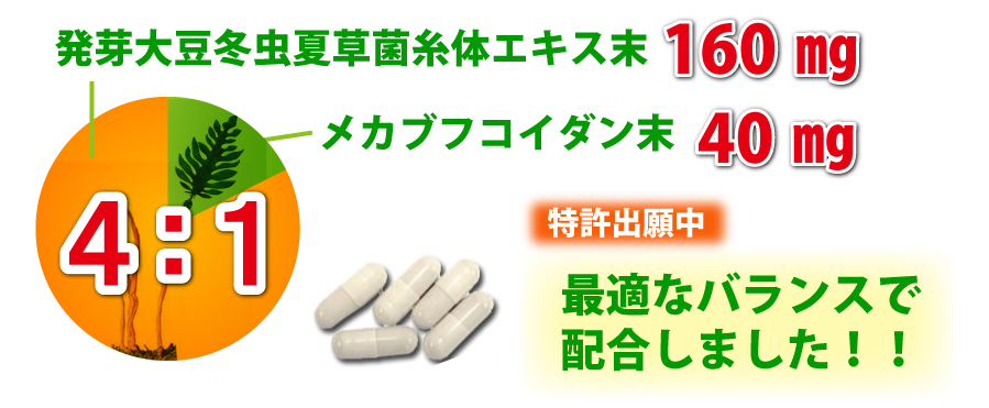 発酵大豆冬虫夏草菌糸体エキス末、メカブフコイダン末を最適なバランス４：1で配合